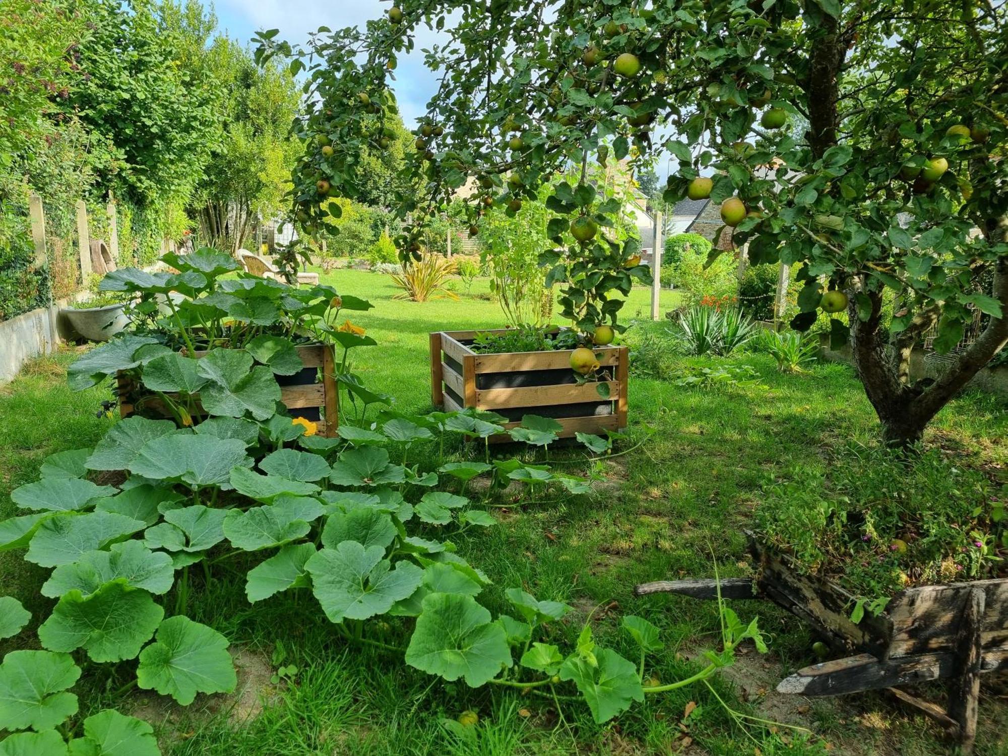 Appartement les forges du lou à Jugon-les-Lacs Extérieur photo
